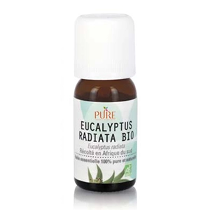 Huile essentielle d'Eucalyptus radiata Bio