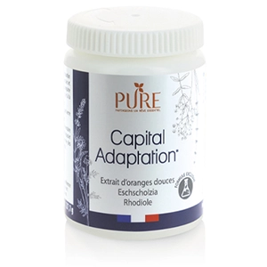 Capital Adaptation*