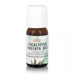 Huile essentielle d'Eucalyptus radiata Bio